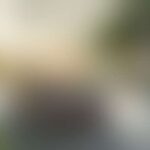 Soft green and beige blurred background