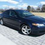 2006 Acuta TL